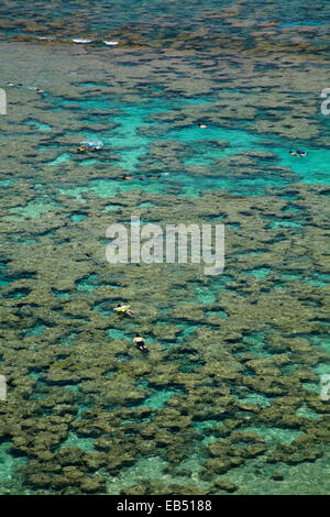 Leute Schnorcheln unter Korallenriff bei Hanauma Bay Nature Preserve, Oahu, Hawaii, USA Stockfoto