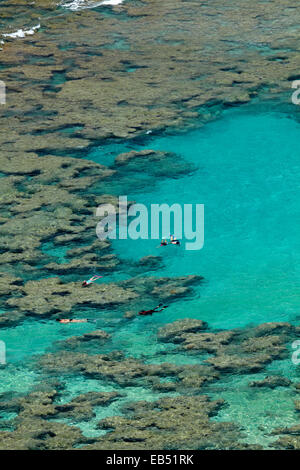 Leute Schnorcheln unter Korallenriff bei Hanauma Bay Nature Preserve, Oahu, Hawaii, USA Stockfoto