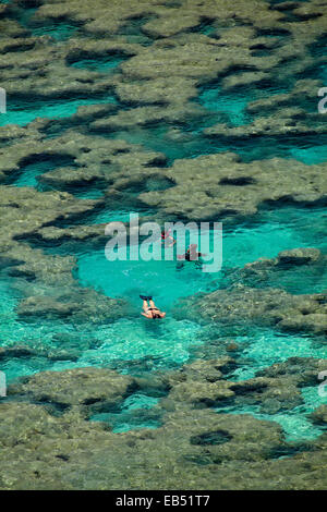 Leute Schnorcheln unter Korallenriff bei Hanauma Bay Nature Preserve, Oahu, Hawaii, USA Stockfoto