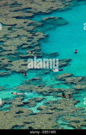 Leute Schnorcheln unter Korallenriff bei Hanauma Bay Nature Preserve, Oahu, Hawaii, USA Stockfoto