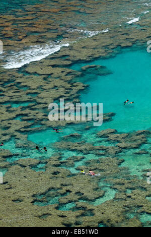 Leute Schnorcheln unter Korallenriff bei Hanauma Bay Nature Preserve, Oahu, Hawaii, USA Stockfoto