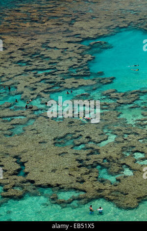 Leute Schnorcheln unter Korallenriff bei Hanauma Bay Nature Preserve, Oahu, Hawaii, USA Stockfoto