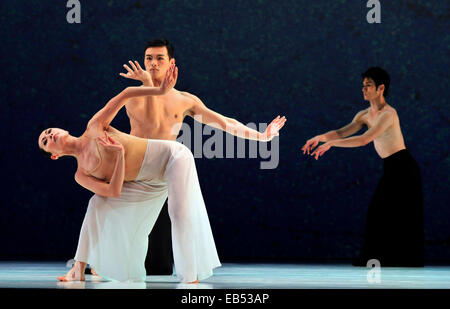 Taipeh. 26. November 2014. Tänzer Proben in den Tanz "Pine Smoke" in Taipei, Taiwan in Südost-China, 26. November 2014. "Pine Rauch" ist eine Produktion von Cloud Gate Dance Theatre, ein moderner Tanzgruppe mit Sitz in Südost-China Taiwan. Der Tanz, Taichi mit Gesten, tanzen kombiniert wird voraussichtlich vom 27. bis 30. November 2014 an der Taipei-Theater auf die Bühne bringen werden. © Wu Ching-Teng/Xinhua/Alamy Live-Nachrichten Stockfoto