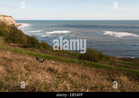 Robin Hoods Bay Blick von Klippen Stockfoto