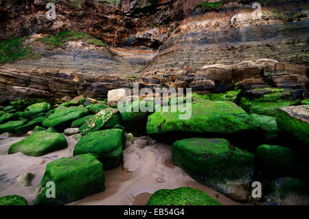 Felsen am Strand von Whitby Stockfoto