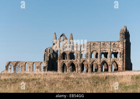 Whitby Abtei North Yorkshire England UK Stockfoto