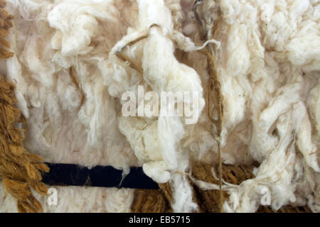 Ballen aus rohen, unbearbeiteten Baumwolle Stockfoto