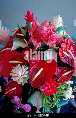 Dieses Bouquet erstellt in Hawaii, USA, verfügt über einige Lieblings-Blumen von den Inseln einschließlich Anthurium, protea, Orchidee und Fackel Ingwer. Stockfoto