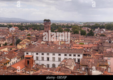 Die Dächer der Altstadt von Lucca, Italien. UNESCO hat das Gebiet zum Weltkulturerbe erklärt. Stockfoto