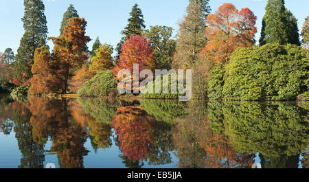 Herbstliche Farben ändern Blätter in Ruhe und Gelassenheit der friedlichen Spiegel wie See Wasseroberfläche reflektiert Stockfoto