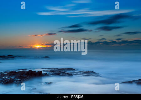 Verträumte Booby Strand Stockfoto