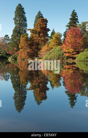 Herbstliche Farben ändern Blätter in Ruhe und Gelassenheit der friedlichen Spiegel wie See Wasseroberfläche reflektiert Stockfoto