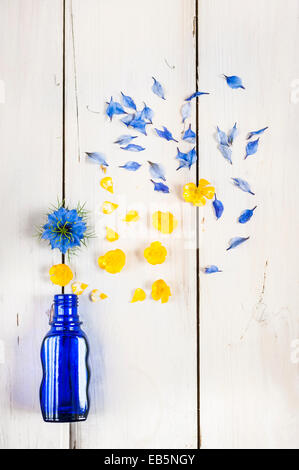 Sommer, kobaltblaue Glasflasche ausgießen: Hahnenfuß Blumen und Nigella auf weißen Holzbrett Stockfoto