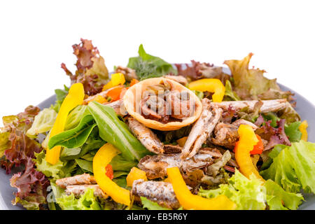 Salat mit Fisch und frisches Gemüse auf weißem Hintergrund. Stockfoto