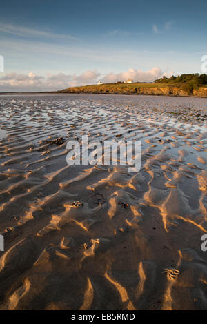 Lug Wurm wirft; Daymer Bay; Cornwall; UK Stockfoto