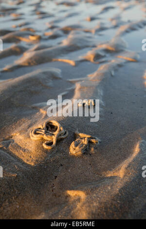 Lug Wurm wirft; Daymer Bay; Cornwall; UK Stockfoto