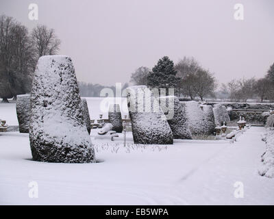 Schneebedeckte Formschnitt Eiben in formalen Gärten im Bowood House, WIltshire, UK Stockfoto