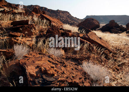 Felsgravuren von Twyfelfontein alte Website - Damaraland - Kunene Region, Namibia, Afrika Stockfoto