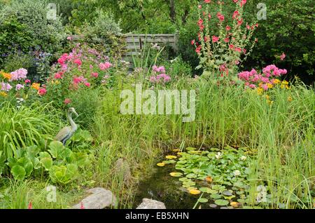 Garten Phlox (Phlox paniculata), gemeinsame Malve (Alcea rosea) und Seerosen (nymphaea) in einem Gartenteich. Design: Marianne und Detlef lüdke Stockfoto