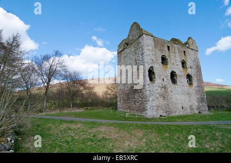 Newark Tower, Bowhill, in der Nähe von Selkirk Stockfoto