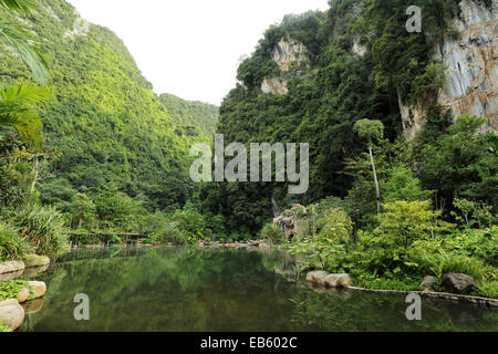 Ein natürlich beheizten Pool auf dem Banjaran Hotspring Rückzug in der Nähe von Ipoh, Malaysia. Stockfoto