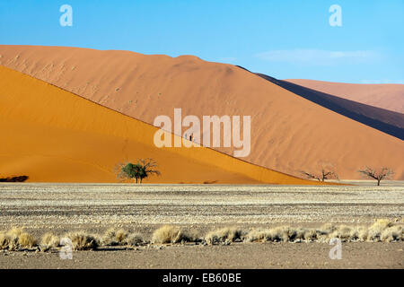 Sanddüne Muster - Sossusvlei-Nationalpark - Namib-Naukluft-Nationalpark, Namibia, Afrika Stockfoto