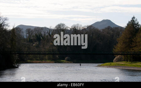 Der Fluss Tweed in Richtung der Eildons nachschlagen Stockfoto