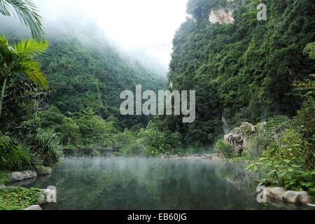 Ein natürlich beheizten Pool auf dem Banjaran Hotspring Rückzug in der Nähe von Ipoh, Malaysia. Stockfoto