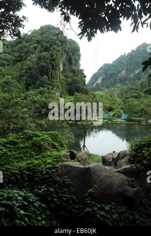 Ein natürlich beheizten Pool auf dem Banjaran Hotspring Rückzug in der Nähe von Ipoh, Malaysia. Stockfoto