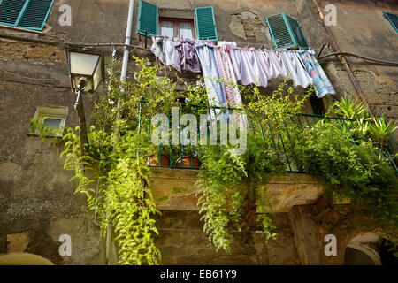 Balkon, geschmückt mit Blumen, Pitigliano, Toskana, Italien Stockfoto