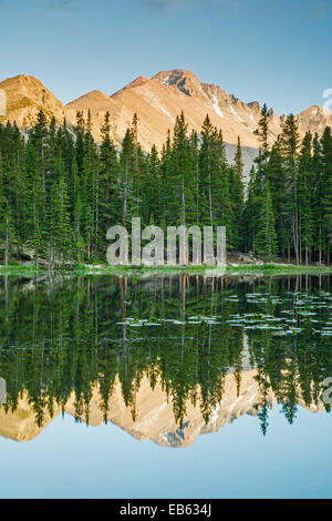 Nymphe See und Longs Peak (14.255 Fuß), Rocky Mountain Nationalpark, Colorado USA Stockfoto