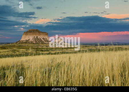 Gräser und Pawnee Buttes, Pawnee National Grassland, Colorado USA Stockfoto