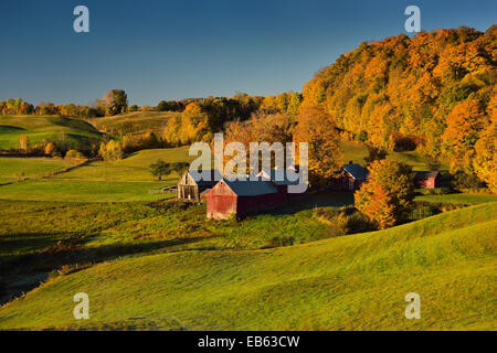 Rollende grüne Felder bei Jenne Farm in Vermont USA Lesung mit Bäumen in bunten Herbstfarben im Morgengrauen im Herbst Stockfoto