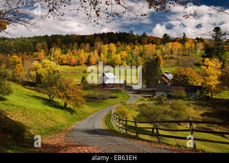 Herbst Baum Farben bei Sleepy Hollow Farm Homestead auf cloudland Straße Woodstock, Vermont usa Stockfoto