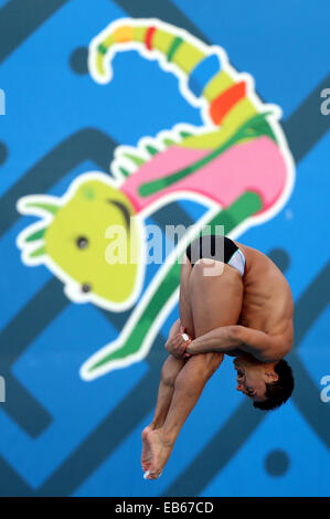 Veracruz, Mexiko. 26. November 2014. Mexikos Julian Sanchez konkurriert bei den Herren 3 Meter-Sprungbrett Tauchen Wettbewerb bei den 2014 Veracruz zentralamerikanischen und karibischen Spiele in Boca del Rio, Veracruz, Mexiko, am 26. November 2014. Julian Sanchez gewann die Silbermedaille. © Jorge Arciga/NOTIMEX/Xinhua/Alamy Live-Nachrichten Stockfoto