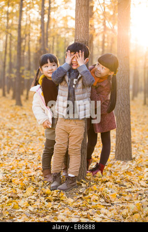 Drei Kinder spielen verstecken und suchen im herbstlichen Wälder Stockfoto