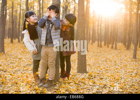 Drei Kinder spielen verstecken und suchen im herbstlichen Wälder Stockfoto