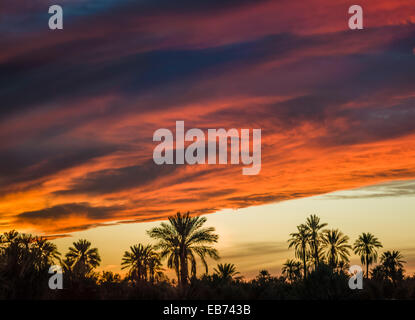 SONNENUNTERGANG TAFILALT PALMENHAIN RISSANI MAROKKO Stockfoto