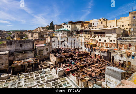 GERBEREI SZENE FES FES MAROKKO AFRIKA Stockfoto