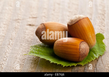 Haufen von Bio Haselnüsse auf Haselnuss Blatt über Holz Hintergrund - selektiven Fokus Makroaufnahme Stockfoto