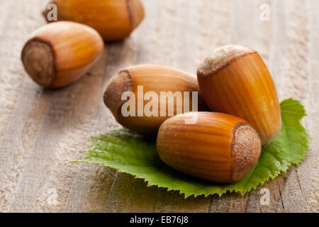 Haufen von Bio Haselnüsse auf Haselnuss Blatt über Holz Hintergrund - selektiven Fokus Makroaufnahme Stockfoto