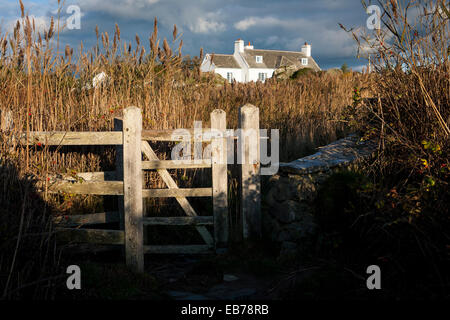 Gebäude von Cae Llyn, Anglesey, North Wales, an einem sonnigen Abend betrachtet das hölzerne Tor eines angrenzenden öffentlichen Fußweg Stockfoto