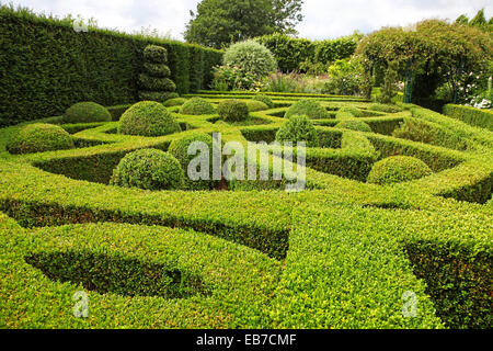 Topiary und Eibe Hecken in Wilkins Pleck Garten, Whitmore, Newcastle unter Lyme, Stoke on Trent, Staffordshire, England, Großbritannien Stockfoto