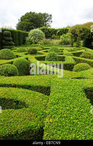 Topiary und Eibe Hecken in Wilkins Pleck Garten, Whitmore, Newcastle unter Lyme, Stoke on Trent, Staffordshire, England, Großbritannien Stockfoto