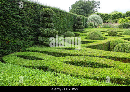 Topiary und Eibe Hecken in Wilkins Pleck Garten, Whitmore, Newcastle unter Lyme, Stoke on Trent, Staffordshire, England, Großbritannien Stockfoto