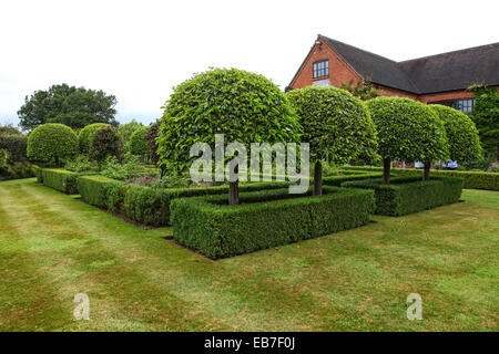 Topiary und Eibe Hecken in Wilkins Pleck Garten, Whitmore, Newcastle unter Lyme, Stoke on Trent, Staffordshire, England, Großbritannien Stockfoto