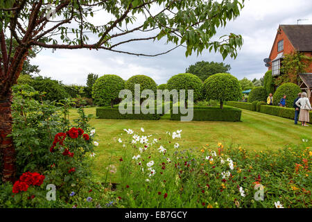 Topiary und Eibe Hecken in Wilkins Pleck Garten, Whitmore, Newcastle unter Lyme, Stoke on Trent, Staffordshire, England, Großbritannien Stockfoto