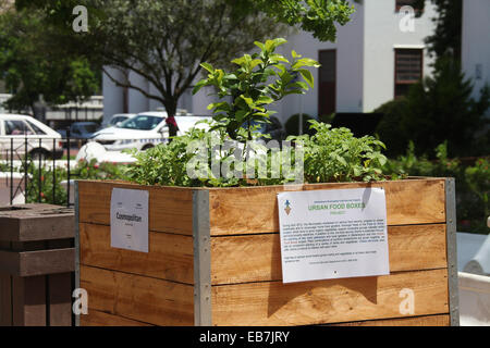 Südafrikanische urbane Food Box in Stellenbosch Stockfoto