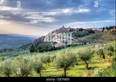 Trevi, Umbrien. Das Dorf, eine der schönsten Städte in Italien, auf einem Hügel, umgeben von Olivenbäumen. Stockfoto