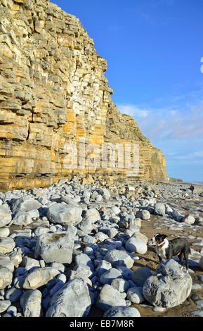 Klippen und Blick auf den Col-Huw Strand, Lantwit Major, Heritage Coast, Vale of Glamorgan, South Wales, Vereinigtes Königreich Stockfoto